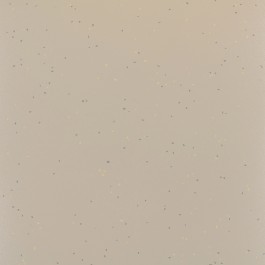 RRO-505